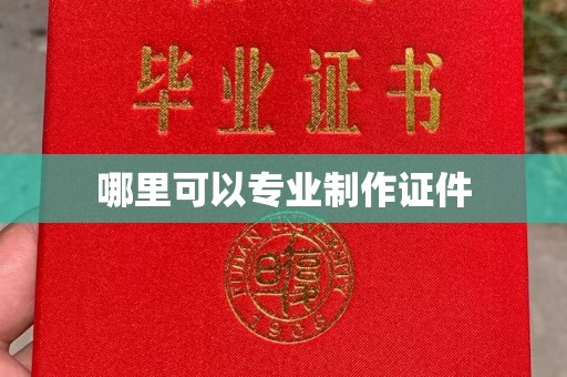 建湖哪里可以专业制作证件