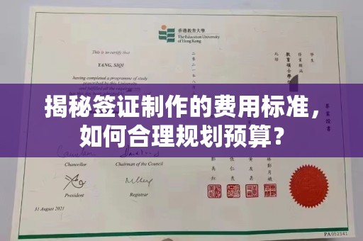 建湖揭秘签证制作的费用标准，如何合理规划预算？