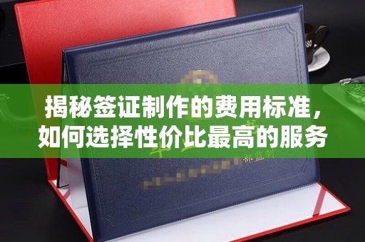 建湖揭秘签证制作的费用标准，如何选择性价比最高的服务？