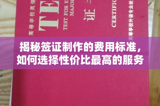 建湖揭秘签证制作的费用标准，如何选择性价比最高的服务？