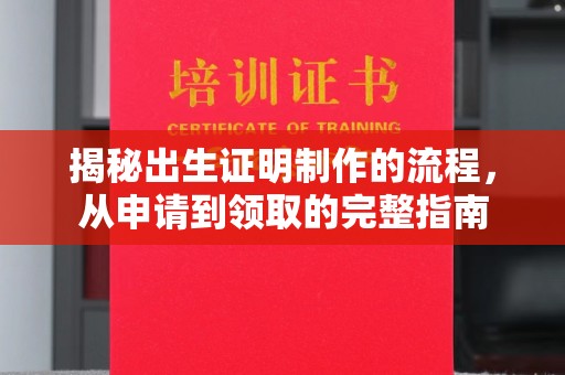 建湖揭秘出生证明制作的流程，从申请到领取的完整指南