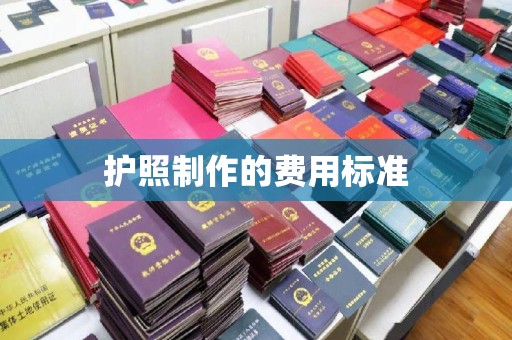 建湖护照制作的费用标准