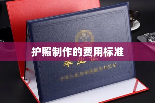 建湖护照制作的费用标准
