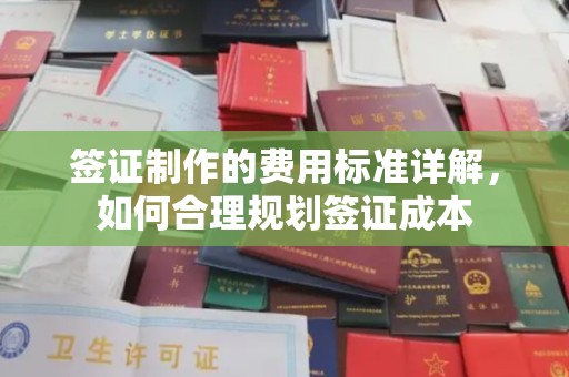 建湖签证制作的费用标准详解，如何合理规划签证成本